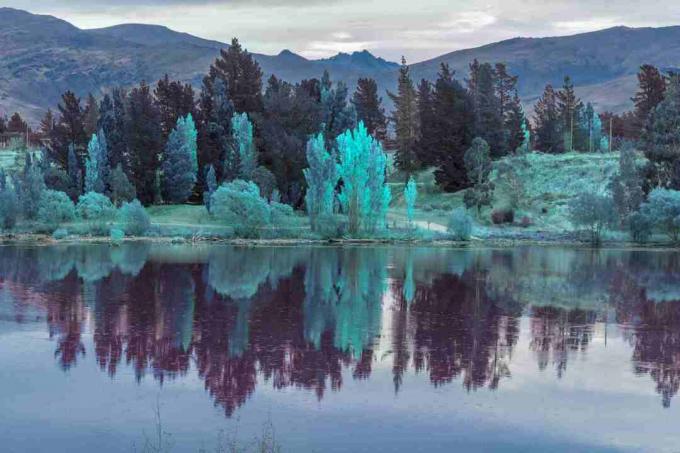 odbicie jeziora, kolorowy krajobraz drzewa