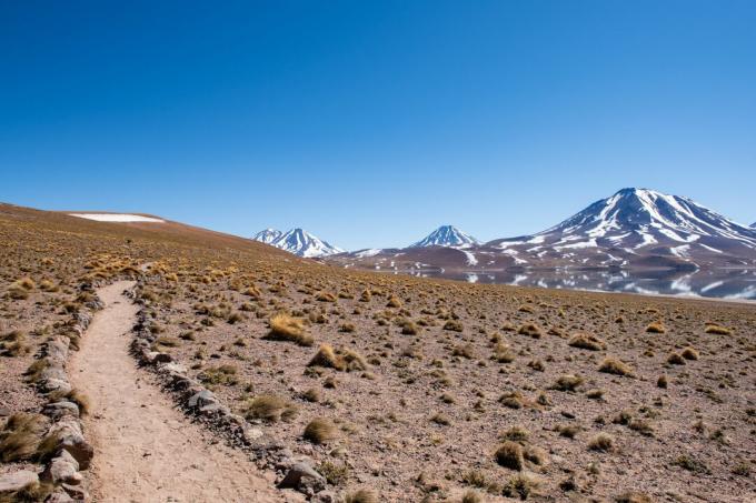 Inca Road przez pustynię Atacama, Chile