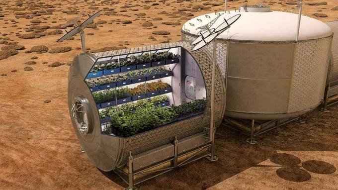 produkcja żywności na Marsie w przyszłości.
