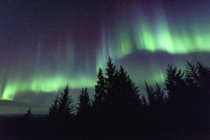 Linie zorzy polarnej podążają za liniami pola magnetycznego Ziemi.