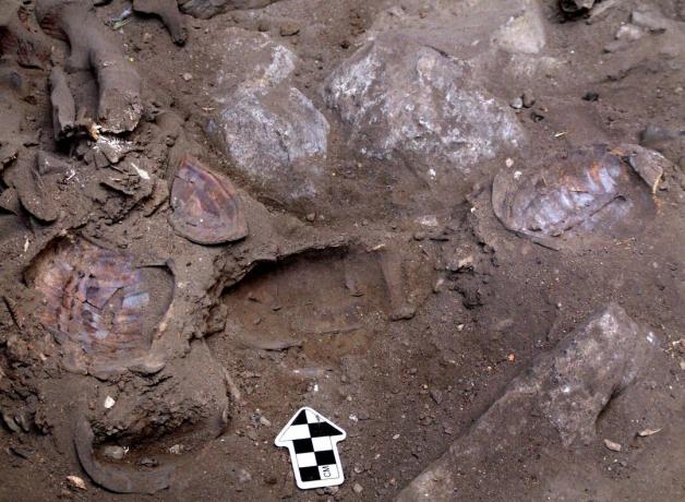 Izraelscy archeolodzy odkrywają pochówek szamana