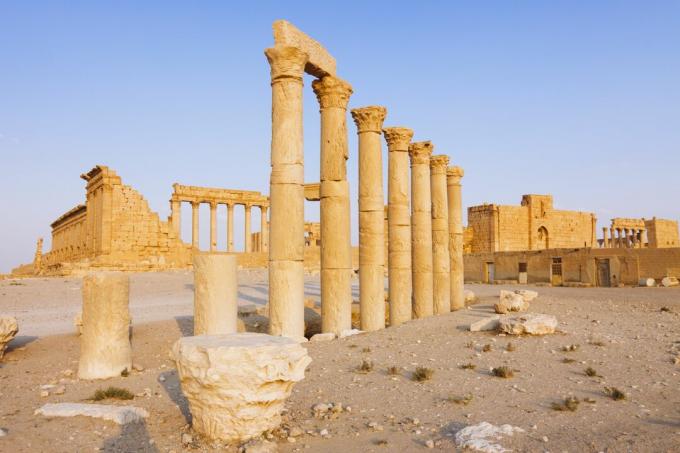 Palmyra, Wielka Kolumnada i Świątynia Bela