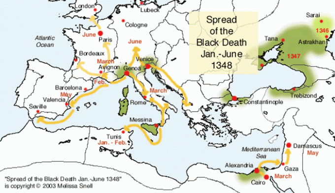 Spread of the Black Death styczeń-czerwiec 1348 A Swift Strike