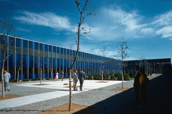 zabarwione na niebiesko okna zaprojektowanego przez Eero Saarinen IBM Center, Rochester, Minnesota, c. 1957