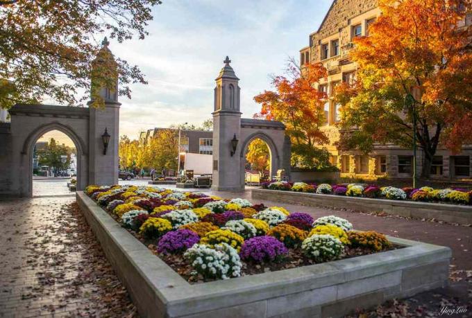 Kochaj moją szkołę, szczególnie jesienią - Indiana University of Bloomington