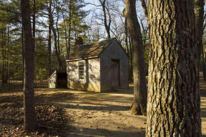 Chatka Thoreau w Walden Pond