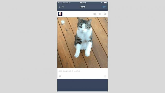 Zrzut ekranu aplikacji Tumblr na iOS.