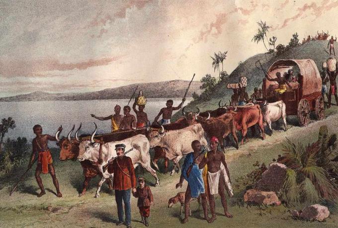 około 1855: przybycie brytyjskiego odkrywcy Davida Livingstone'a i przyjęcie nad jeziorem Ngami.