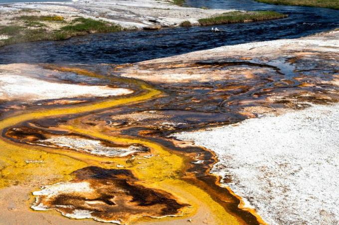 Termofile, bakterie i inne mikroorganizmy, które najlepiej rosną w temperaturach wyższych niż normalne, tworzą ciekawe kolory w basenach i wokół Parku Narodowego Yellowstone