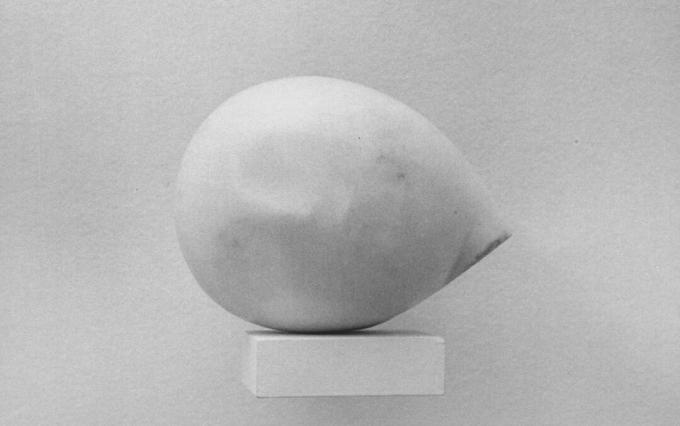 Constantin Brancusi szef Prometeusza