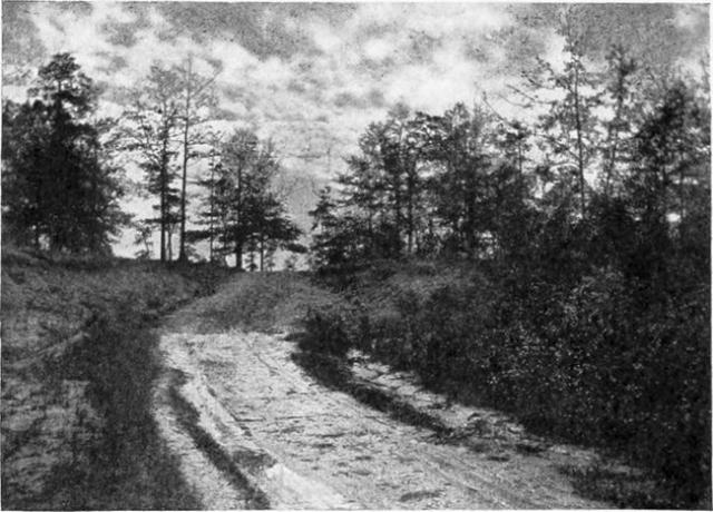 Miejsce, w którym schwytano Aarona Burra, niedaleko Wakefield w stanie Alabama.