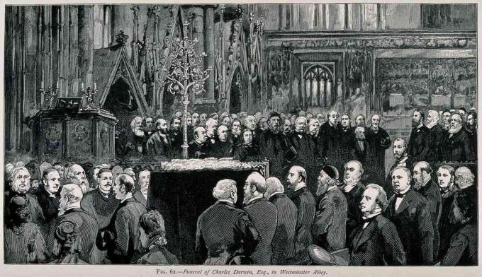 Ceremonia pogrzebowa Charlesa Darwina w opactwie Westminster, kwiecień 1882 r