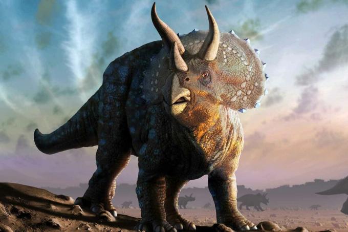 Dinozaur Triceratops.