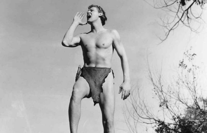 Johnny Weissmuller przedstawiający Tarzana