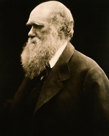 Portret Charlesa Darwina autorstwa Julii Margaret Cameron